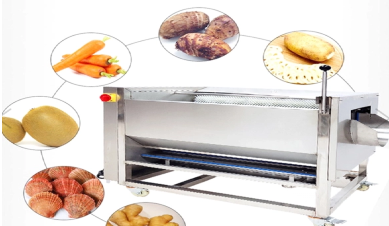 Inova&ccedil;&otilde;es em m&aacute;quinas de lavar frutas e vegetais: melhorando a higiene e a efici&ecirc;ncia da produ&ccedil;&atilde;o